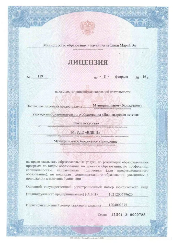 Лицензия на образовательную деятельность Визимьярской детской школы искусств